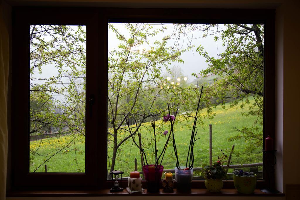 Casa Hille Apartment Măgura Екстериор снимка