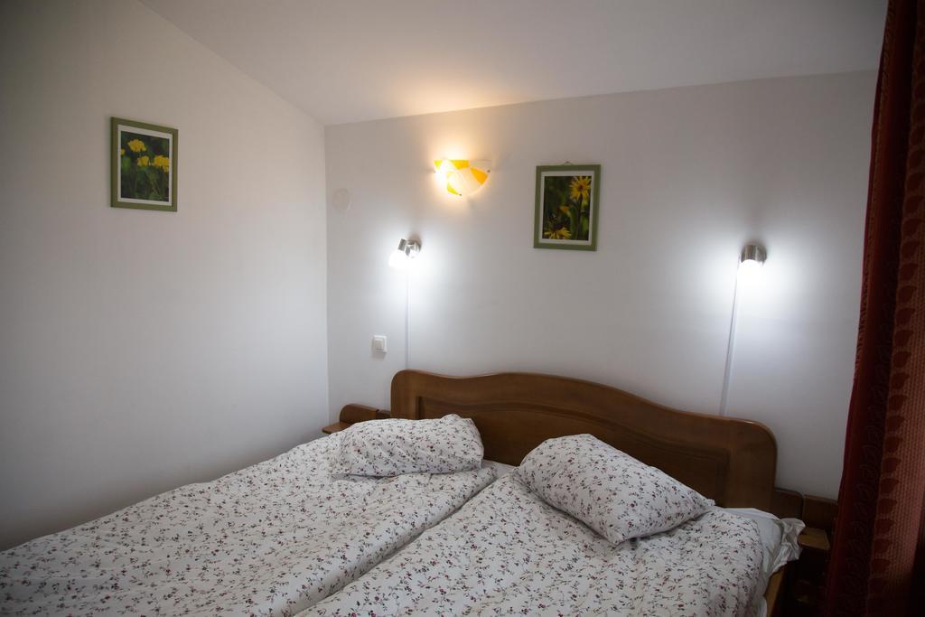 Casa Hille Apartment Măgura Екстериор снимка