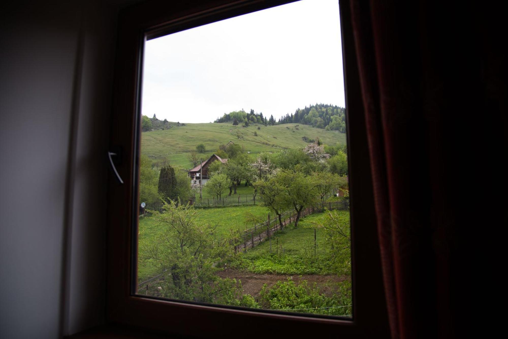 Casa Hille Apartment Măgura Екстериор снимка