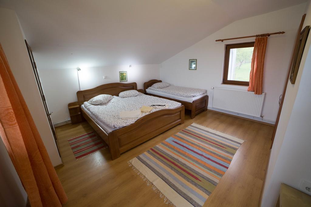 Casa Hille Apartment Măgura Екстериор снимка